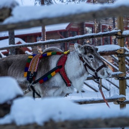 finnland rundreise 2025_55